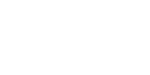 Kunde logo metronome